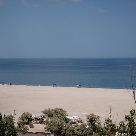 Pupa Residence Mamaia Room photo